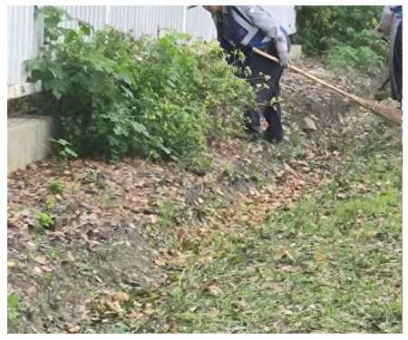 綠地雜草處理